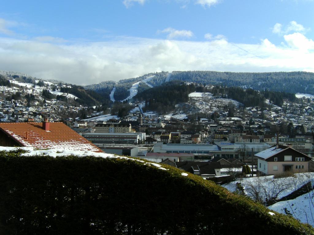 Les 4 Saisons Apartment Gerardmer Exterior photo